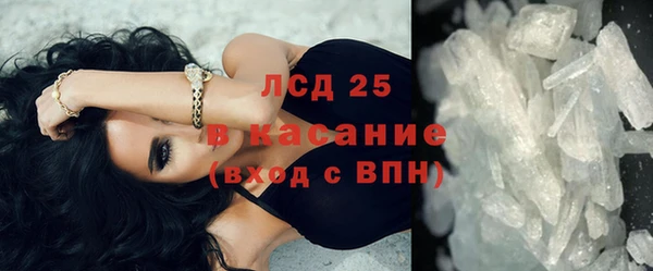 стафф Гусев