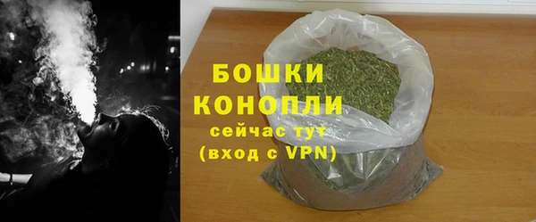 стафф Гусев