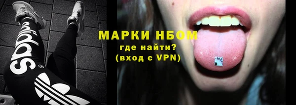 амф Гусь-Хрустальный