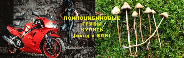 ECSTASY Дмитриев
