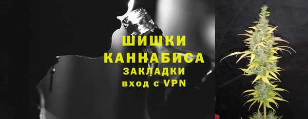 амф Гусь-Хрустальный