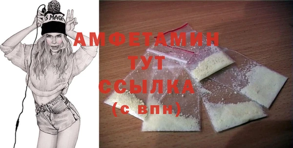 амф Гусь-Хрустальный