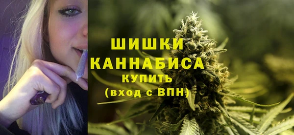 стафф Гусев